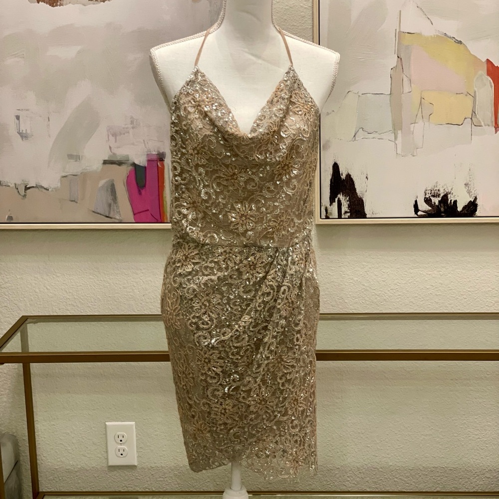 Haute Hippie cocktail dress. Metallic silver and rose gold.